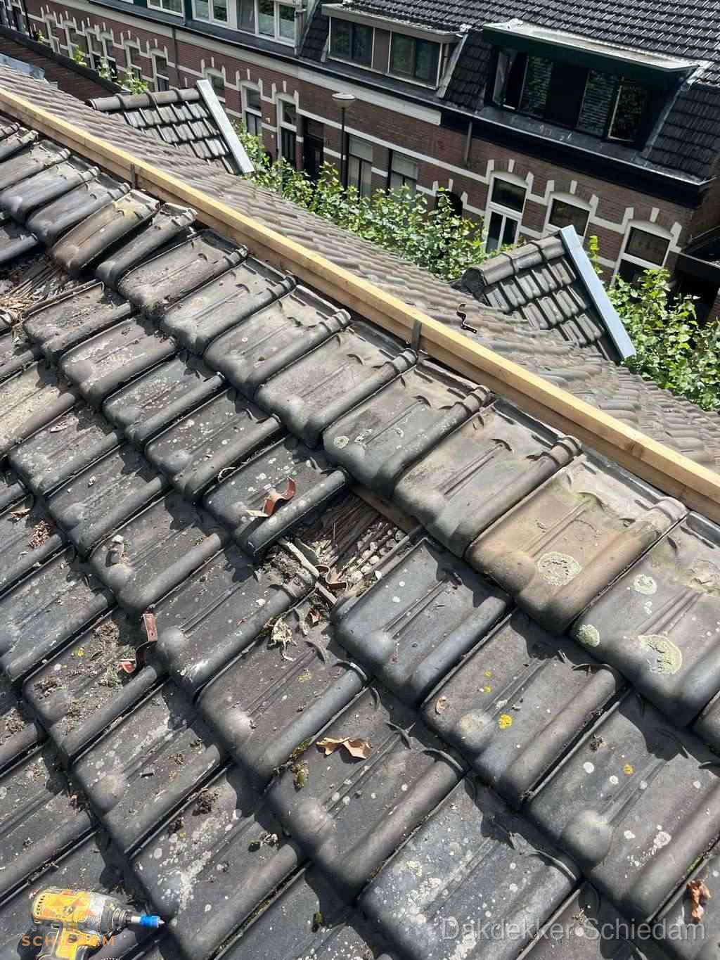 Dakonderhoud Schiedam Dakonderhoud Schiedam