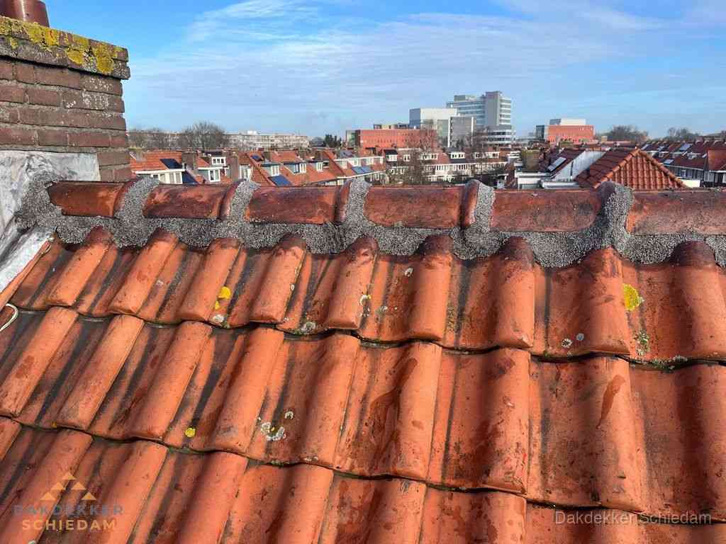 Schiedam Daken Renoveren Schiedam Daken Renoveren